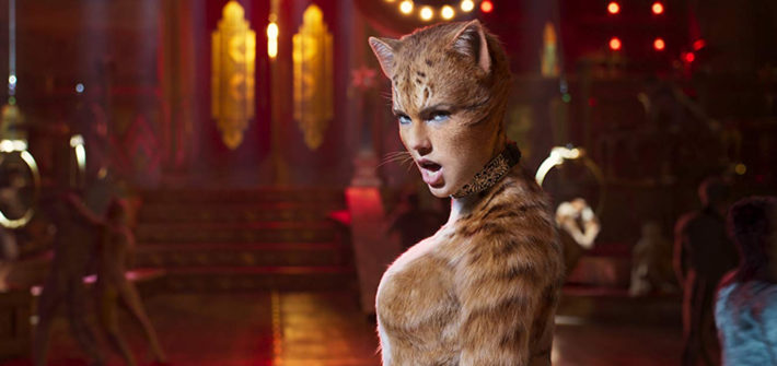 Cats